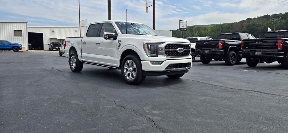 2022 Ford F-150 Platinum 4x4