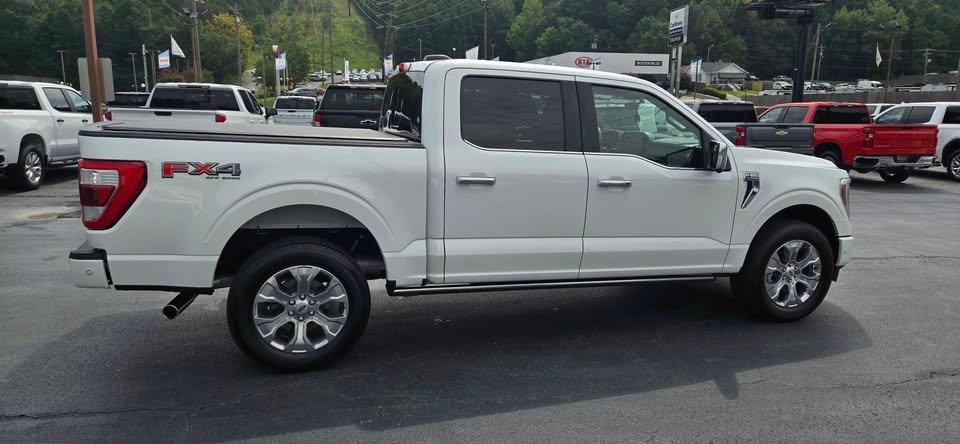 2022 Ford F-150 Platinum 4x4