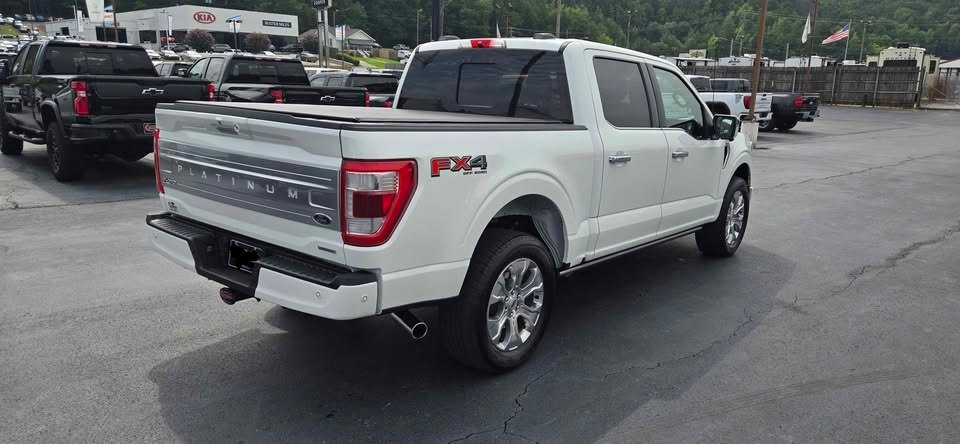 2022 Ford F-150 Platinum 4x4
